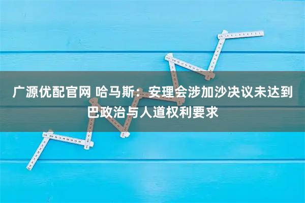 广源优配官网 哈马斯：安理会涉加沙决议未达到巴政治与人道权利要求