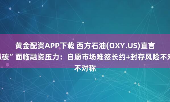 黄金配资APP下载 西方石油(OXY.US)直言“抓碳”面临融资压力：自愿市场难签长约+封存风险不对称