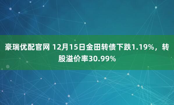 豪瑞优配官网 12月15日金田转债下跌1.19%,转股溢价率30.99%