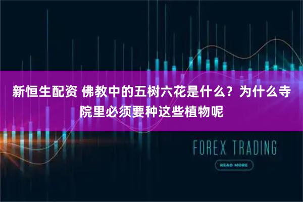新恒生配资 佛教中的五树六花是什么？为什么寺院里必须要种这些植物呢