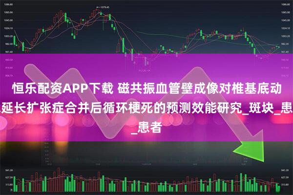 恒乐配资APP下载 磁共振血管壁成像对椎基底动脉延长扩张症合并后循环梗死的预测效能研究_斑块_患者